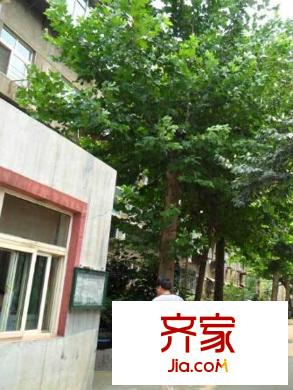 濟(jì)南第九中學(xué)宿舍外景圖 