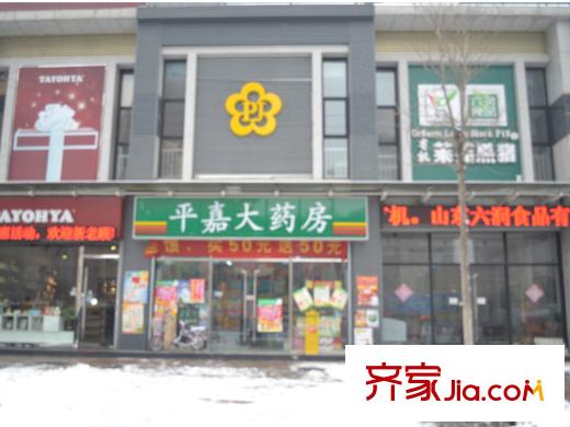 卓越時代廣場配套圖平嘉大藥房