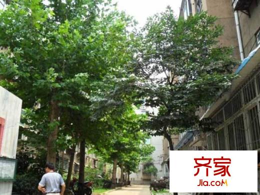 濟(jì)南第九中學(xué)宿舍外景圖 