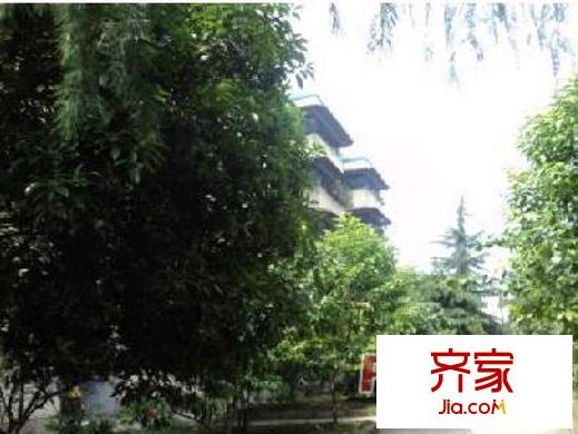 建設(shè)路國(guó)稅局宿舍外景圖 