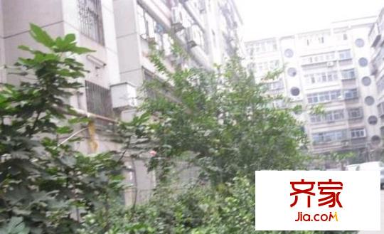 建設(shè)路國(guó)稅局宿舍外景圖 