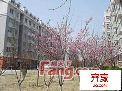 龍騰小區(qū)外景圖 外3