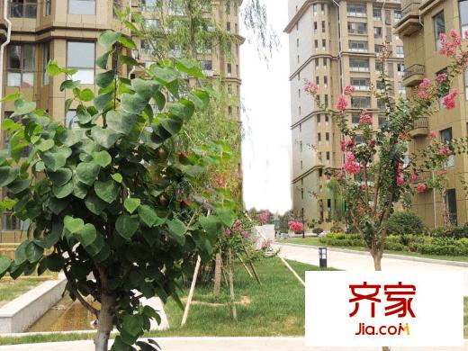 映月清水灣外景圖施工進(jìn)度圖（2014-7-11）
