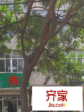 鼎舜趙苑