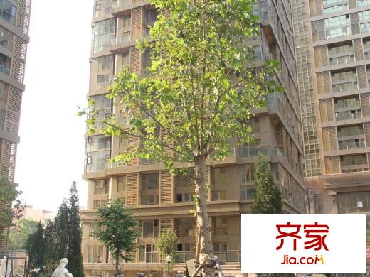 萬(wàn)豪君悅府外景圖小區(qū)實(shí)景圖（2013-08-19）