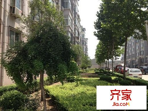 金容花園外景圖 
