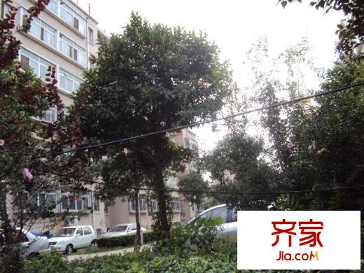 新城金水岸外景圖