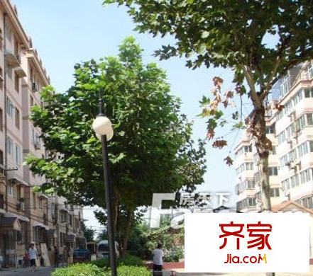 白馬花園外景圖