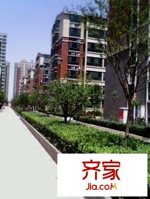 新城金水岸外景圖 