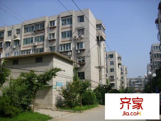 段店園丁