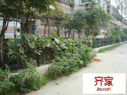 振興街小區(qū)外景圖