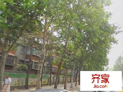 玉函路國稅局宿舍外景圖 