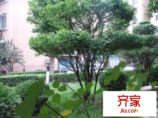 亞圣園外景圖