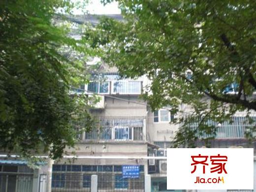 建設(shè)路園丁