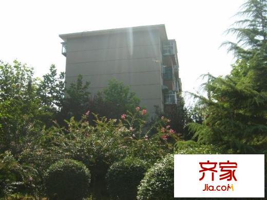 桑園路單位宿舍外景圖