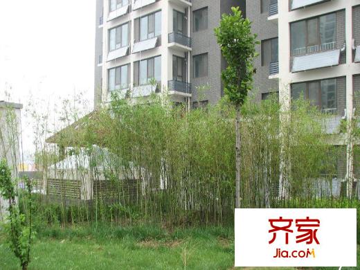 建中大學(xué)仕花園實(shí)景圖綠化（2013-5-15）