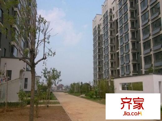 建中大學(xué)仕花園實(shí)景圖（2013-5-15）