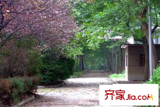 祥泰森林河灣配套圖周邊配套-綠化林