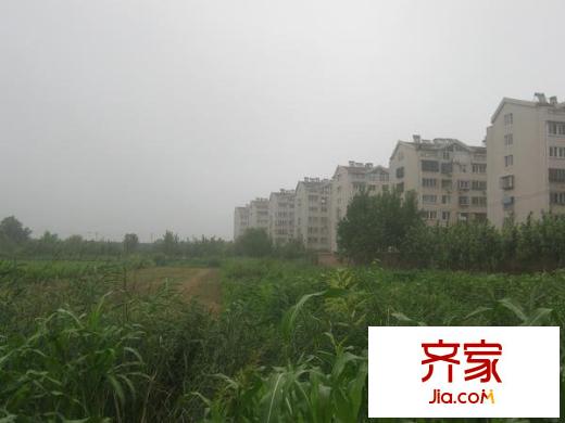 西沙