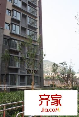海信都市陽光外景圖 