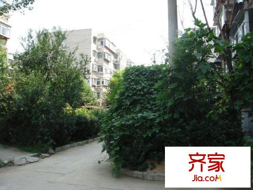 張莊路單位宿舍外景圖