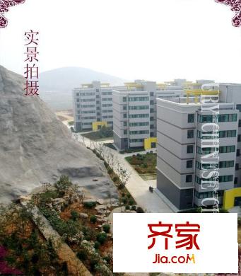 世紀(jì)中華城外景圖實(shí)景1