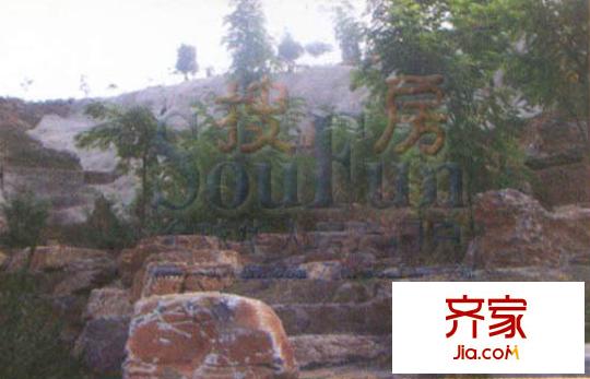 世紀中華城