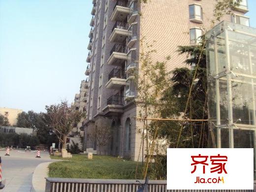 大舜天成外景圖