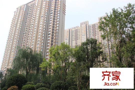 魯商鳳凰城小區(qū)綠化（2015-10-12）