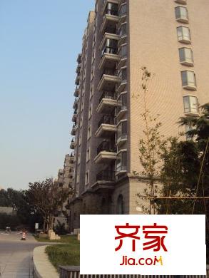 大舜天成