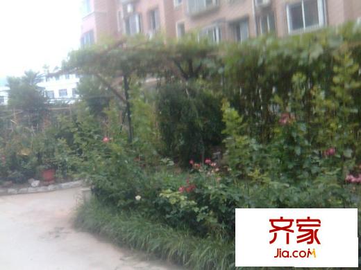 天長嘉園外景圖