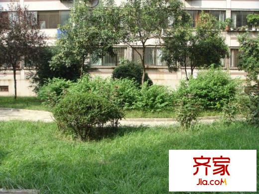 綠園小區(qū)外景圖
