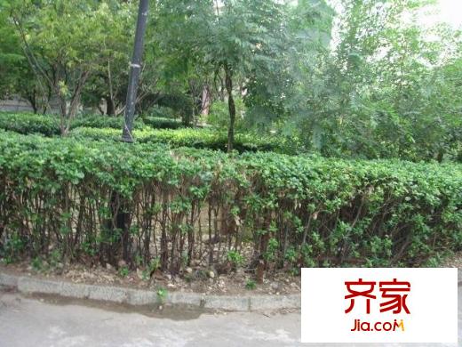 濟(jì)大路單位宿舍外景圖