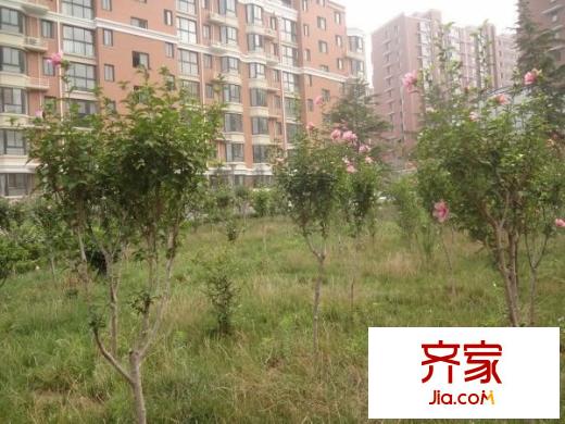 紅山圣都外景圖 
