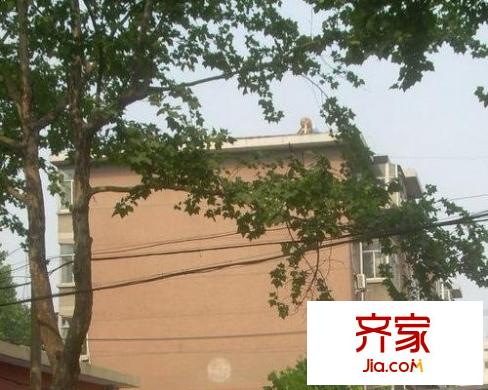 洪樓南路單位宿舍外景圖