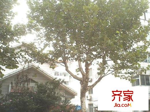 文東苑外景圖