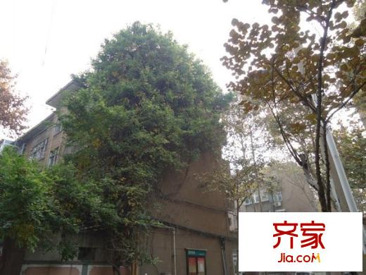 營市東街單位宿舍外景圖 