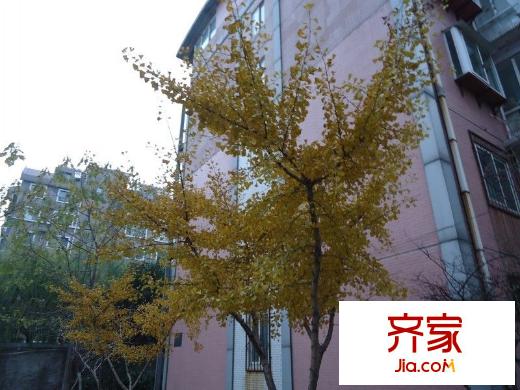 艾菲爾花園外景圖 