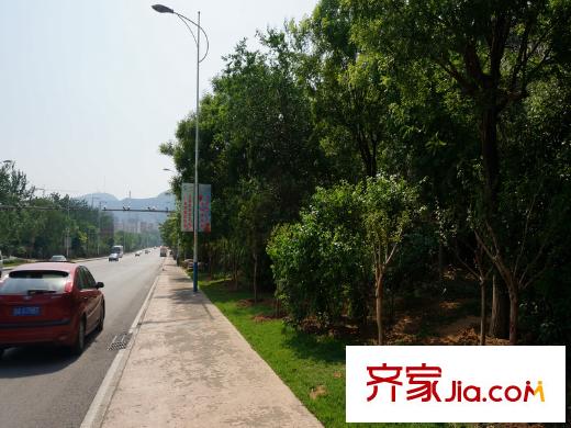 黃金?山水郡旅游路街邊綠化