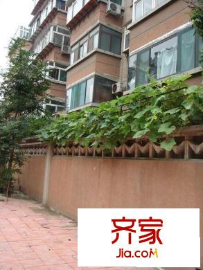 機(jī)床一廠宿舍外景圖