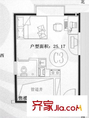 海右重華戶型圖C3戶型 1室1廳1衛(wèi)1廚