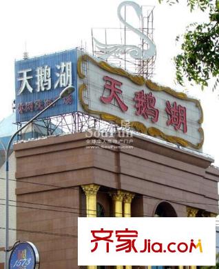 中齊他山配套圖周邊配套-天鵝湖