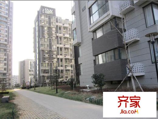 中齊他山實(shí)景圖施工進(jìn)度圖（2012-12-11）