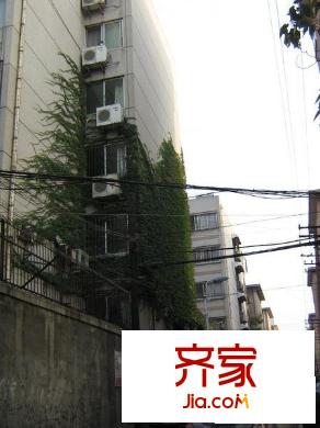 和平路單位宿舍外景圖
