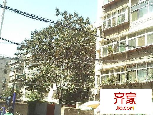 興濟河小區(qū)外景圖