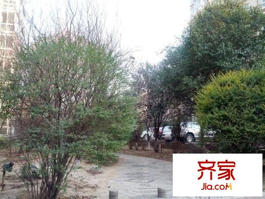 舜怡佳園外景圖 