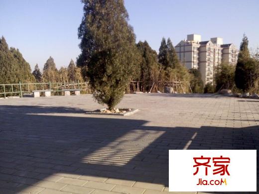 雅居園外景圖 