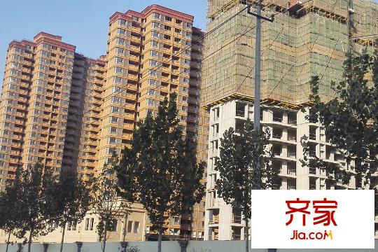 外海中央花園工程進(jìn)度實景（2014-11-14）