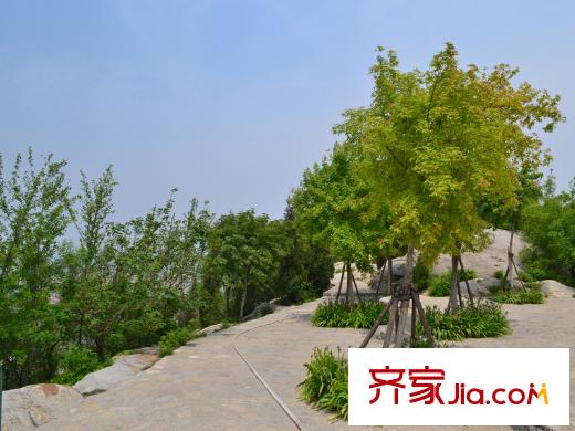 外海中央花園臘山湖濕地公園