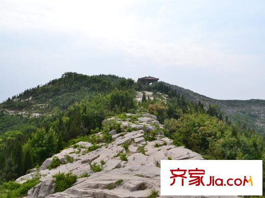 外海中央花園臘山湖濕地公園